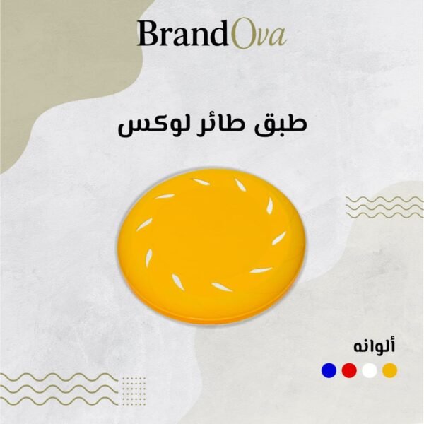 طبق طائر